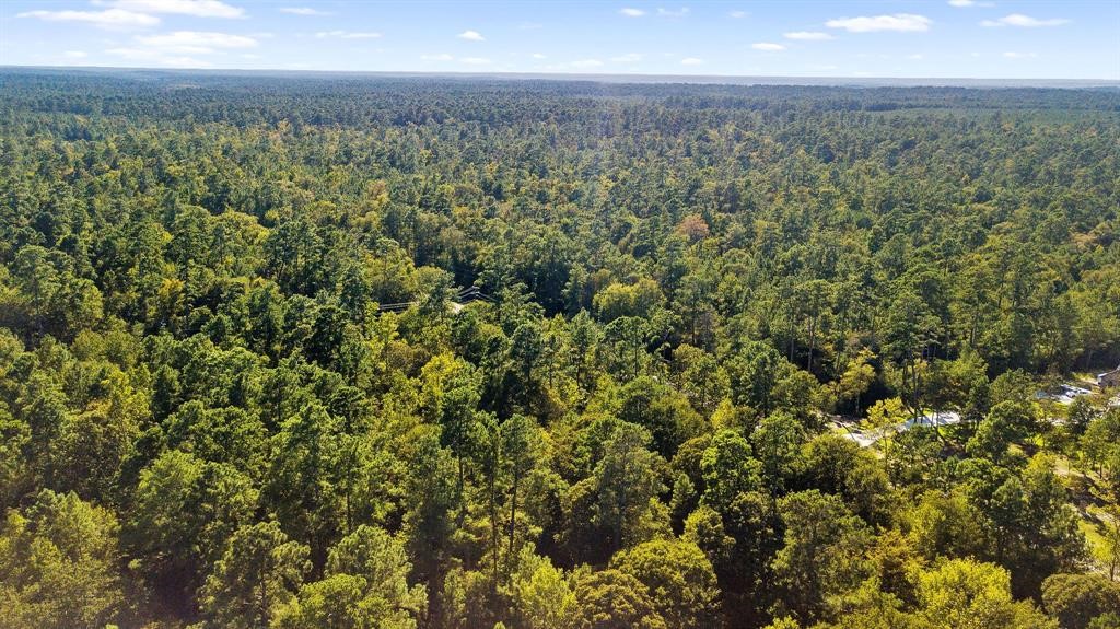 5-24-19 Rim Rock Road Huntsville, TX 77340 - Photo 3 of 14