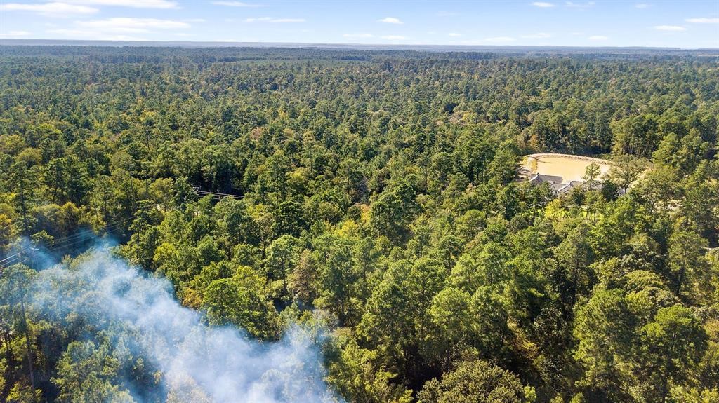 5-24-19 Rim Rock Road Huntsville, TX 77340 - Photo 4 of 14