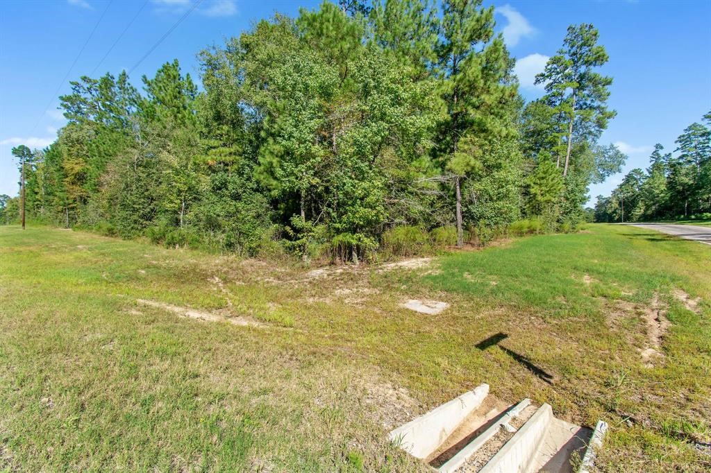 5-24-19 Rim Rock Road Huntsville, TX 77340 - Photo 6 of 14