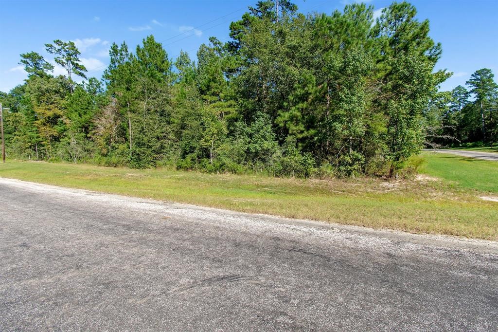 5-24-19 Rim Rock Road Huntsville, TX 77340 - Photo 7 of 14