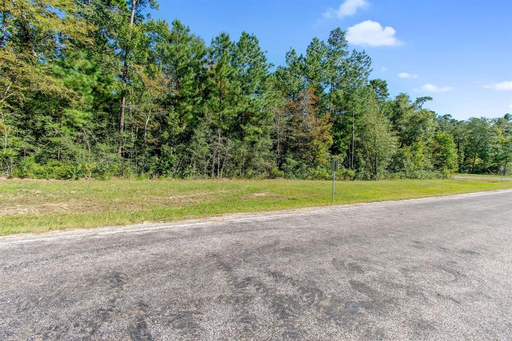 5-24-19 Rim Rock Road Huntsville, TX 77340 - Photo 9 of 14