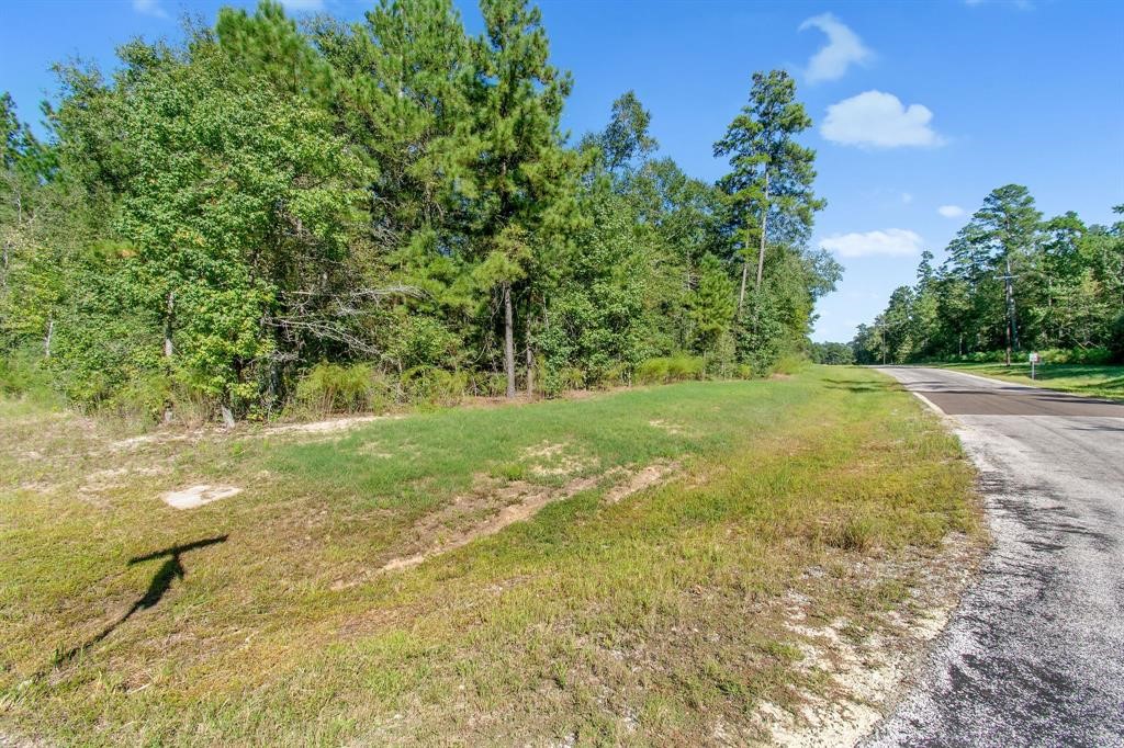 5-24-19 Rim Rock Road Huntsville, TX 77340 - Photo 10 of 14