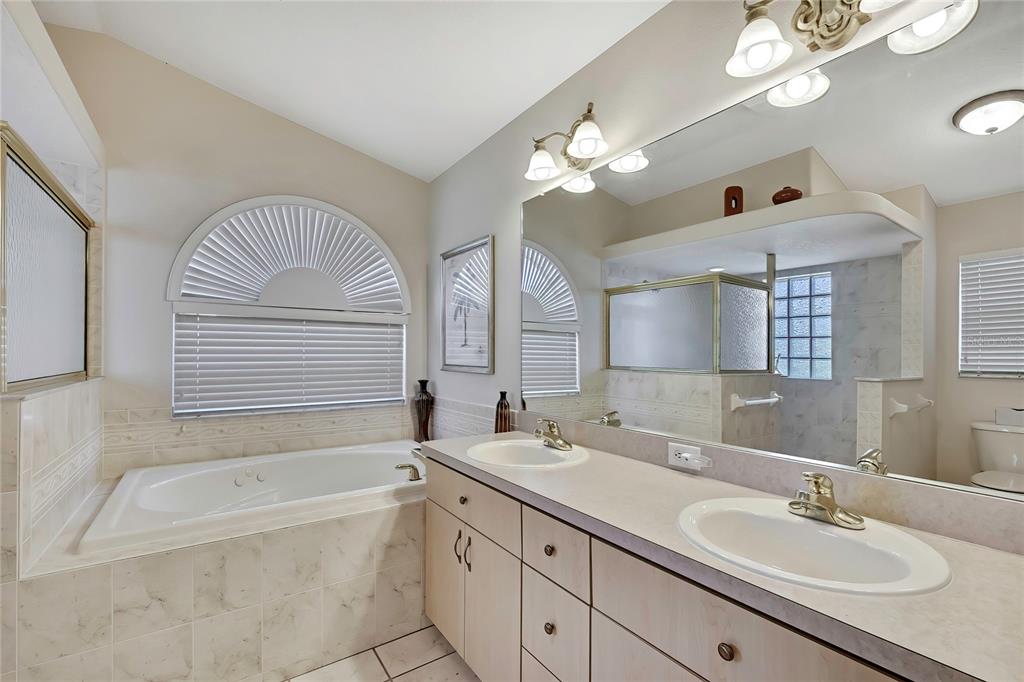3786 South Emma Jane Terrace Homosassa, FL 34448 - Photo 10 of 32 a bathroom with a tub a double vanity sink and a mirror