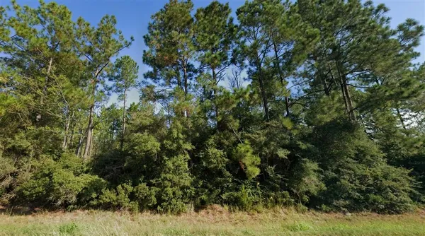 $185,000 | 0 La Highway, Deridder, LA 70634