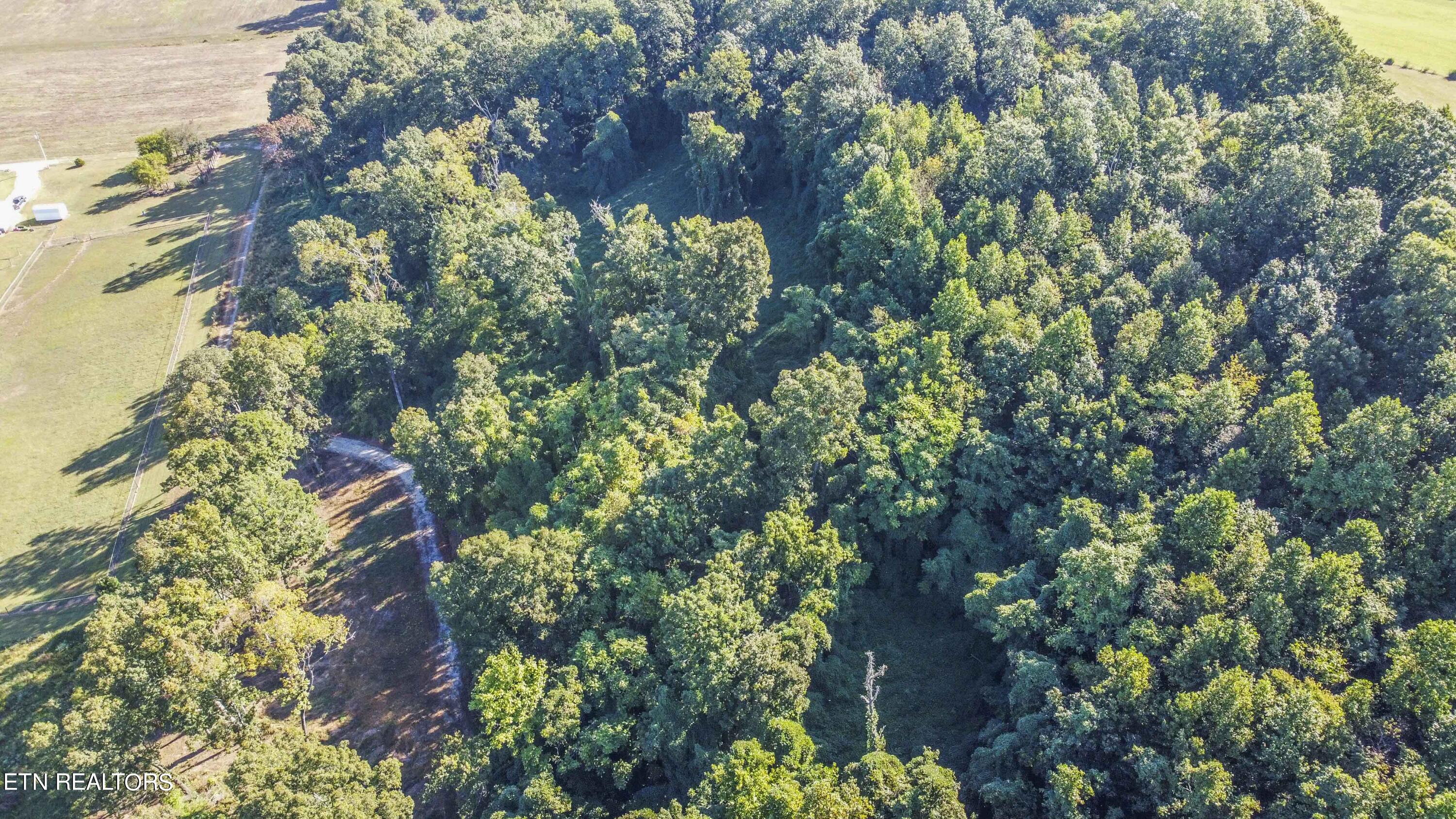 8197 Jim Dyke Road Loudon, TN 37774 - Photo 13 of 14 drone 2_1