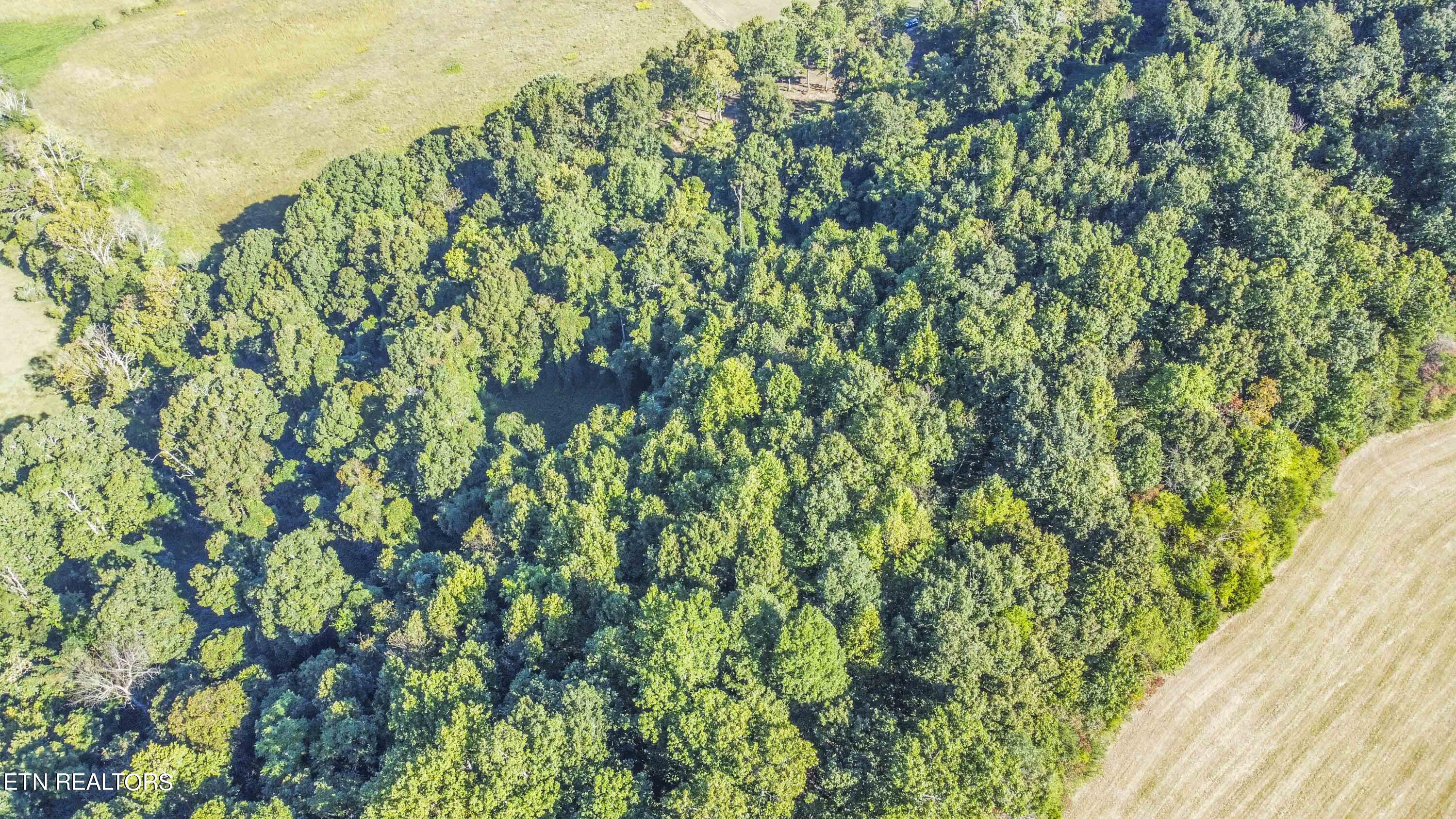 8197 Jim Dyke Road Loudon, TN 37774 - Photo 14 of 14 drone 4_1