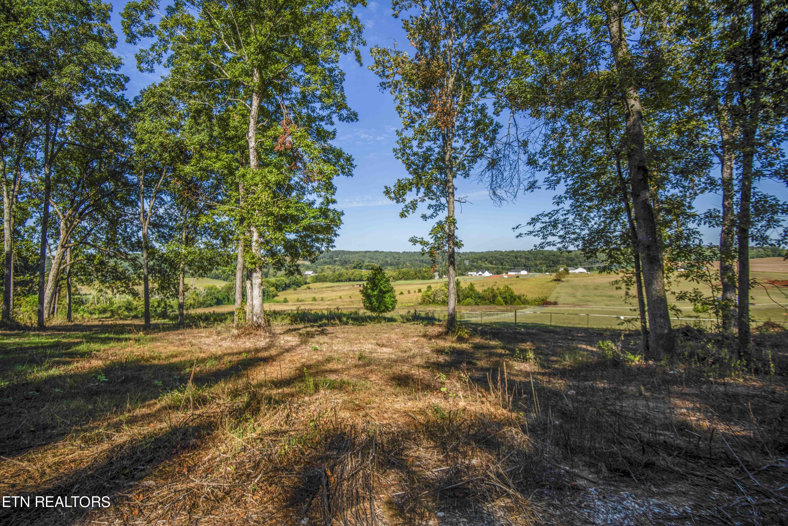 8197 Jim Dyke Road Loudon, TN 37774 - Photo 3 of 14 ground 1_1