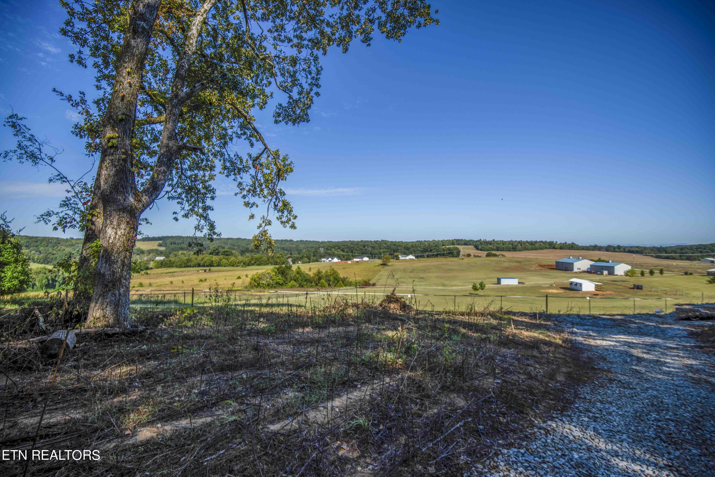 8197 Jim Dyke Road Loudon, TN 37774 - Photo 4 of 14 ground 3_1