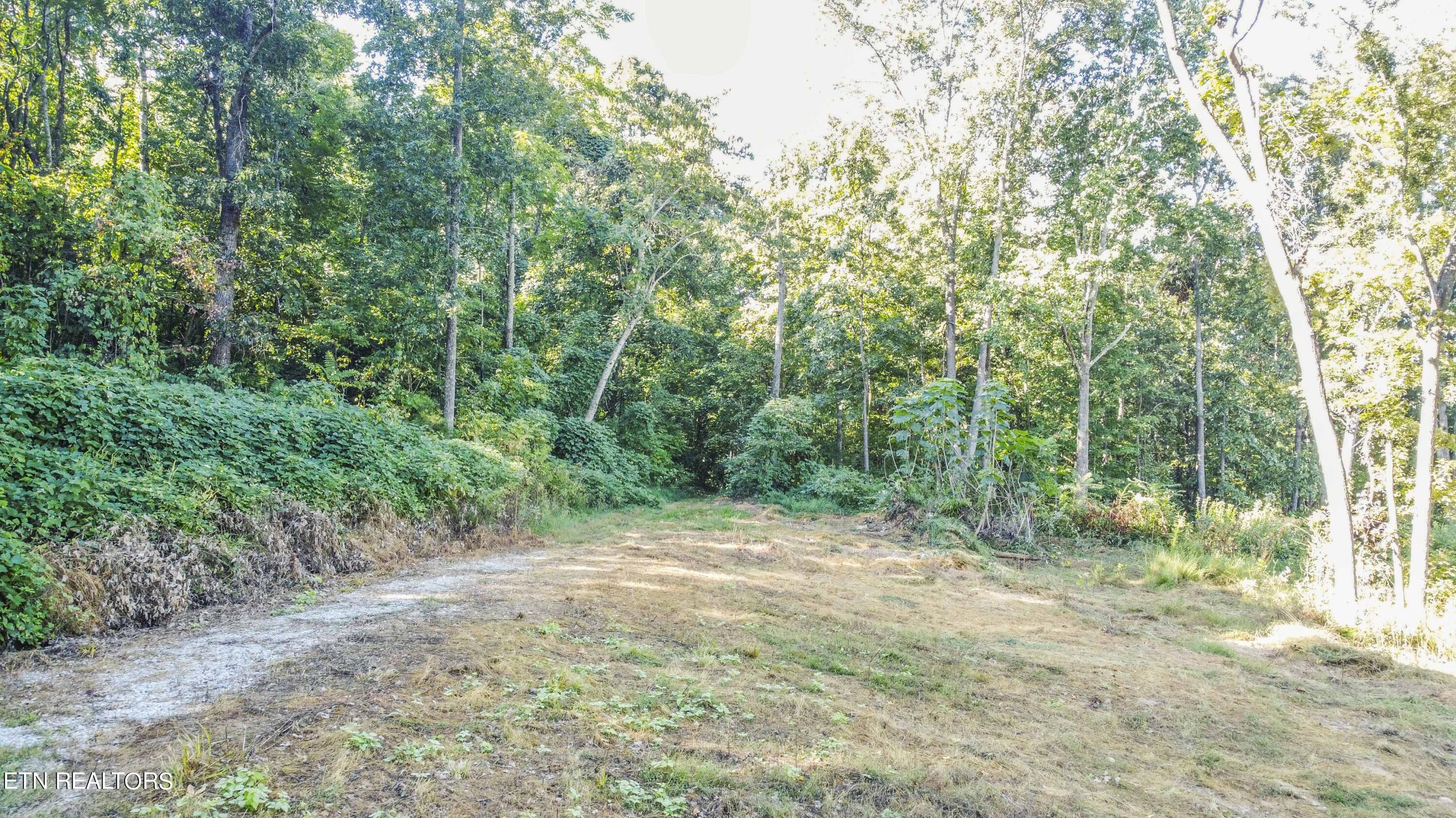 8197 Jim Dyke Road Loudon, TN 37774 - Photo 6 of 14 drone 16_1