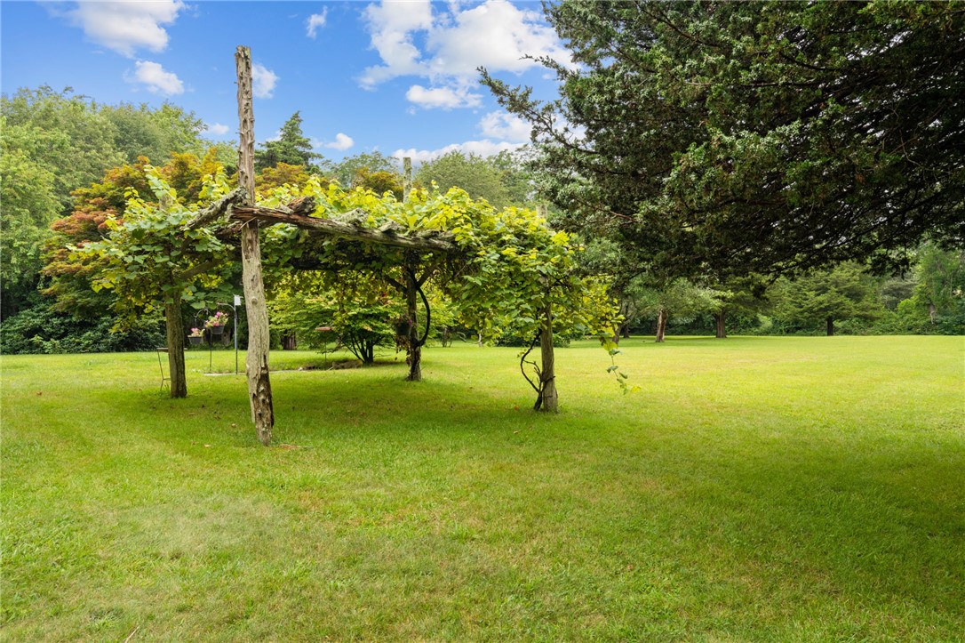 725 North Main Road Jamestown, RI 02835 - Photo 5 of 27 vines/ back yard