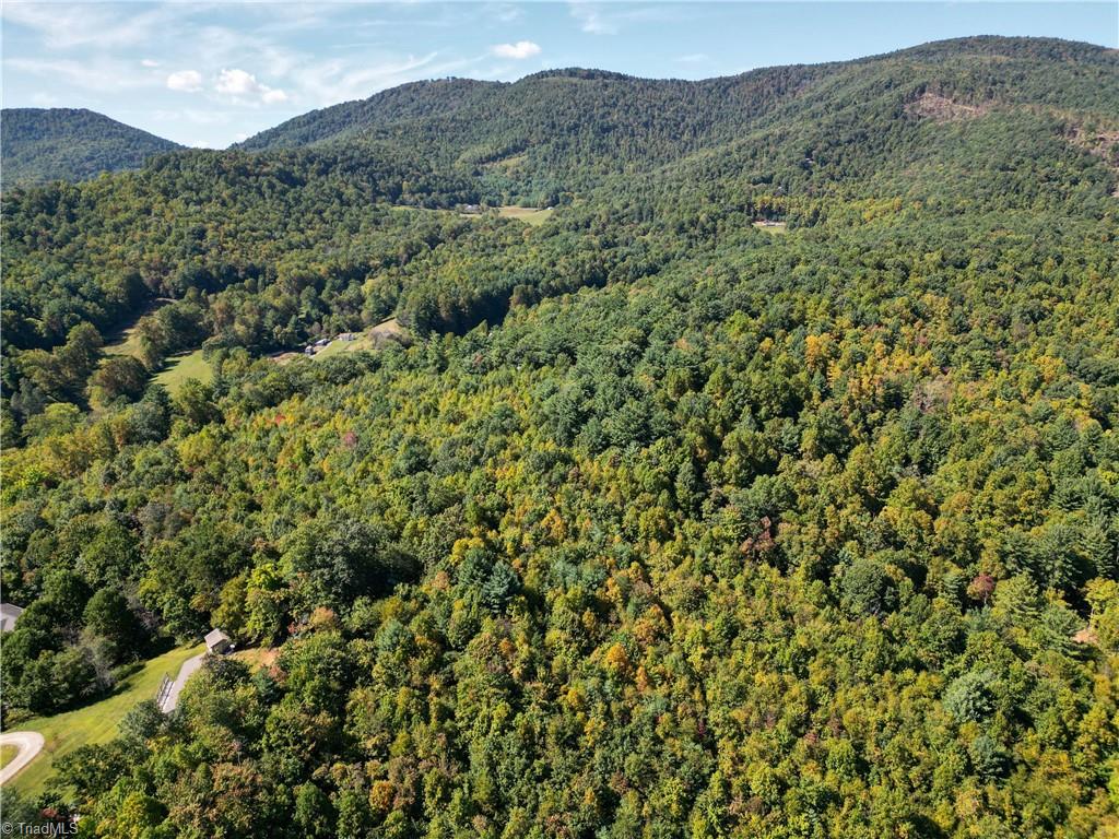 0 Orchard Road Deep Gap, NC 28618 - Photo 7 of 19