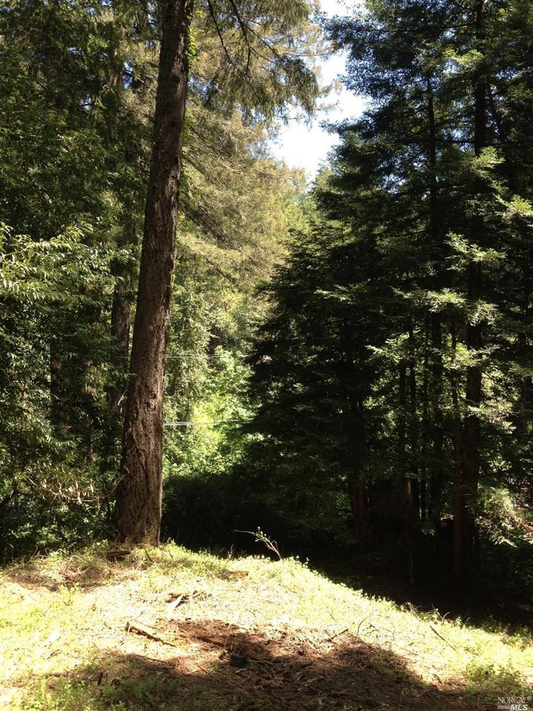 a view of a snow covered with snow