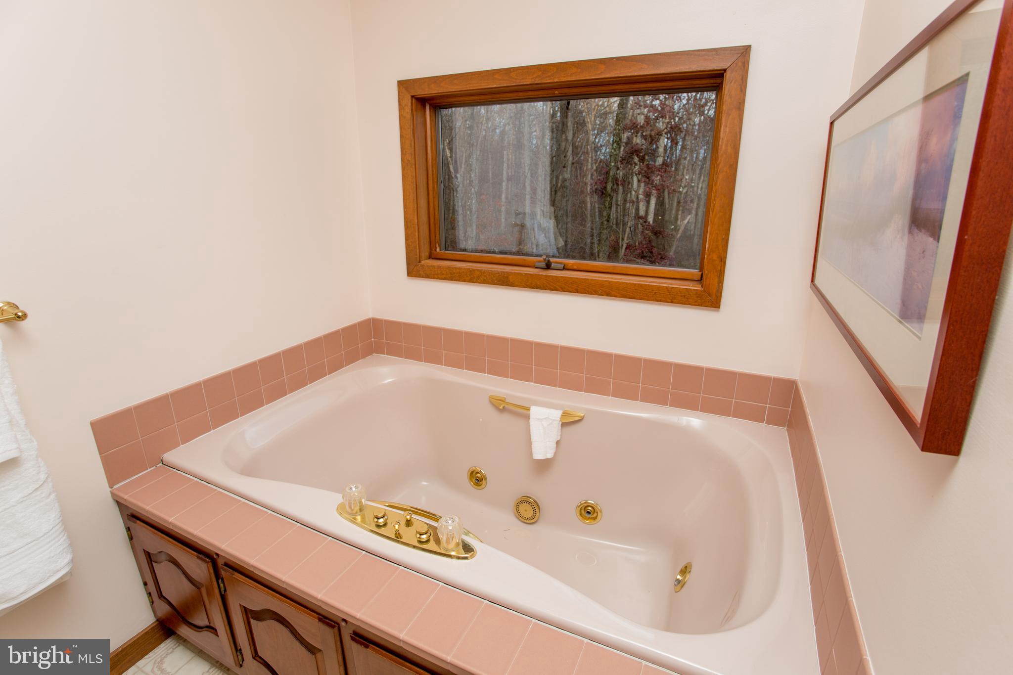 786 Ridge Road Telford, PA 18969 - Photo 51 of 105 a bathroom with a tub and a window