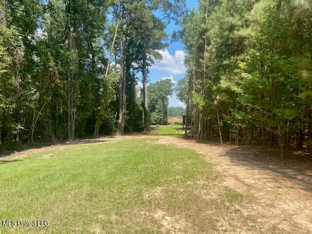 $240,000 | Adams Road, Smithdale, MS 39664