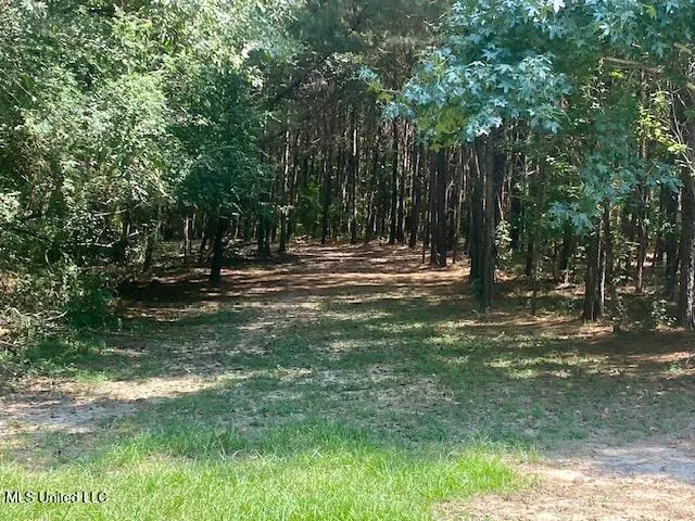 $240,000 | Adams Road, Smithdale, MS 39664
