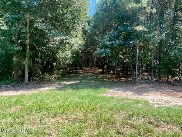 $220,000 | Adams Road, Smithdale, MS 39664