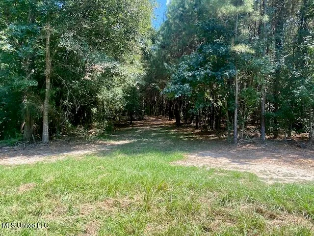 $240,000 | Adams Road, Smithdale, MS 39664