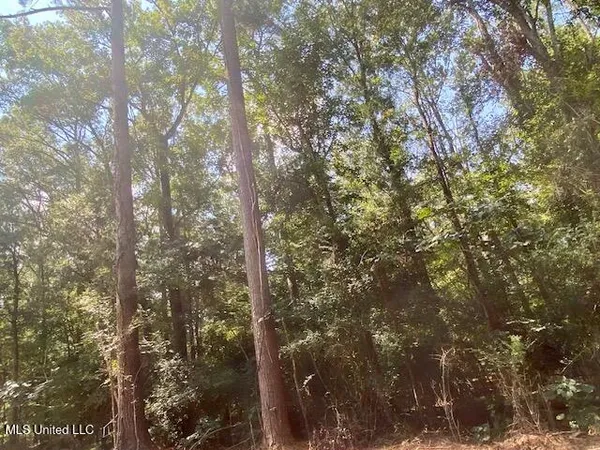$220,000 | Adams Road, Smithdale, MS 39664