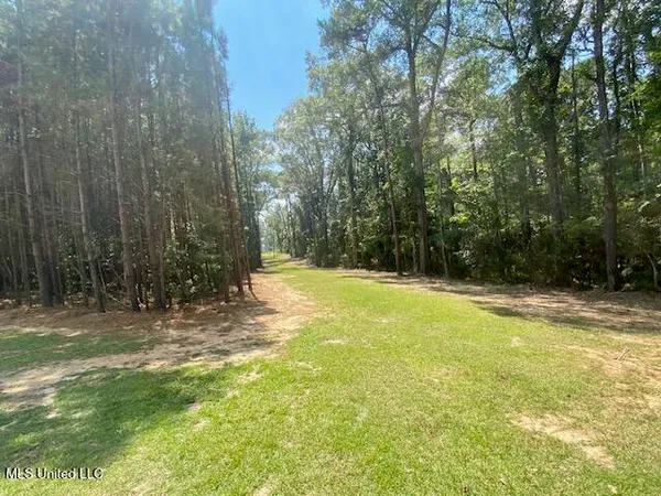 $220,000 | Adams Road, Smithdale, MS 39664
