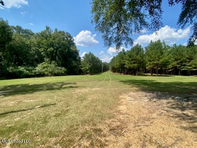 $240,000 | Adams Road, Smithdale, MS 39664