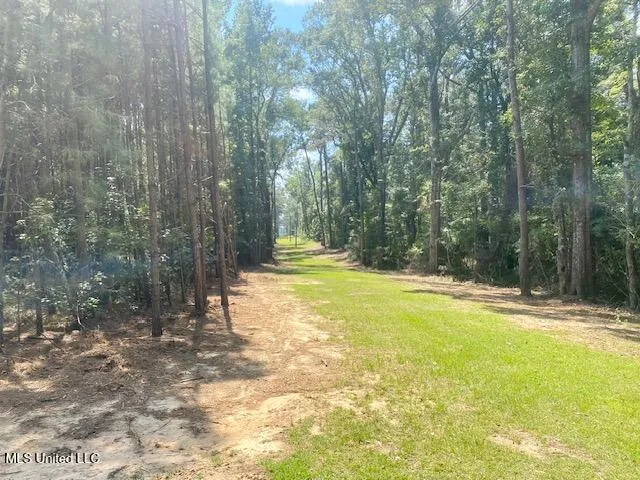 $240,000 | Adams Road, Smithdale, MS 39664