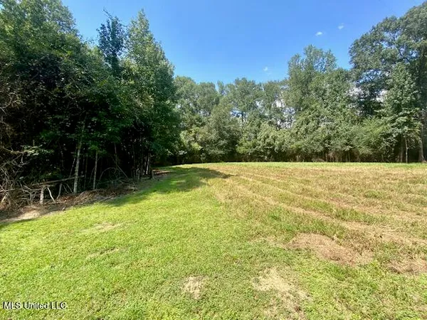 $220,000 | Adams Road, Smithdale, MS 39664