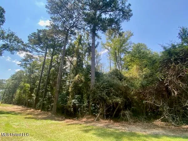 $220,000 | Adams Road, Smithdale, MS 39664