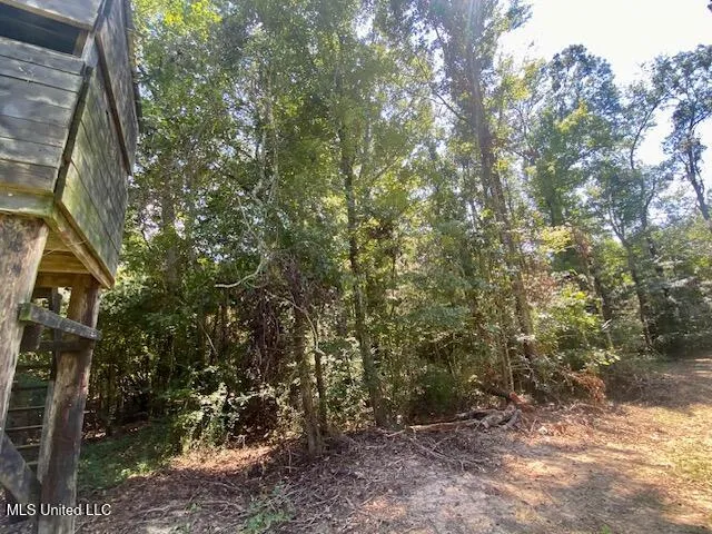 $240,000 | Adams Road, Smithdale, MS 39664