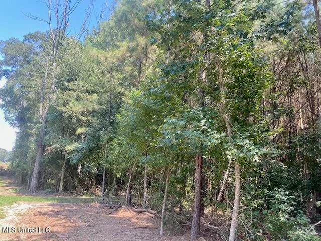 $240,000 | Adams Road, Smithdale, MS 39664