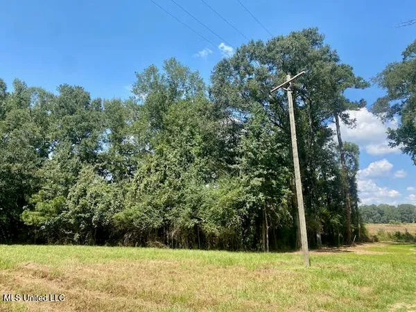 $220,000 | Adams Road, Smithdale, MS 39664