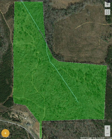 0 County Road 29 Abbeville, AL 36310 - Photo 1 of 1
