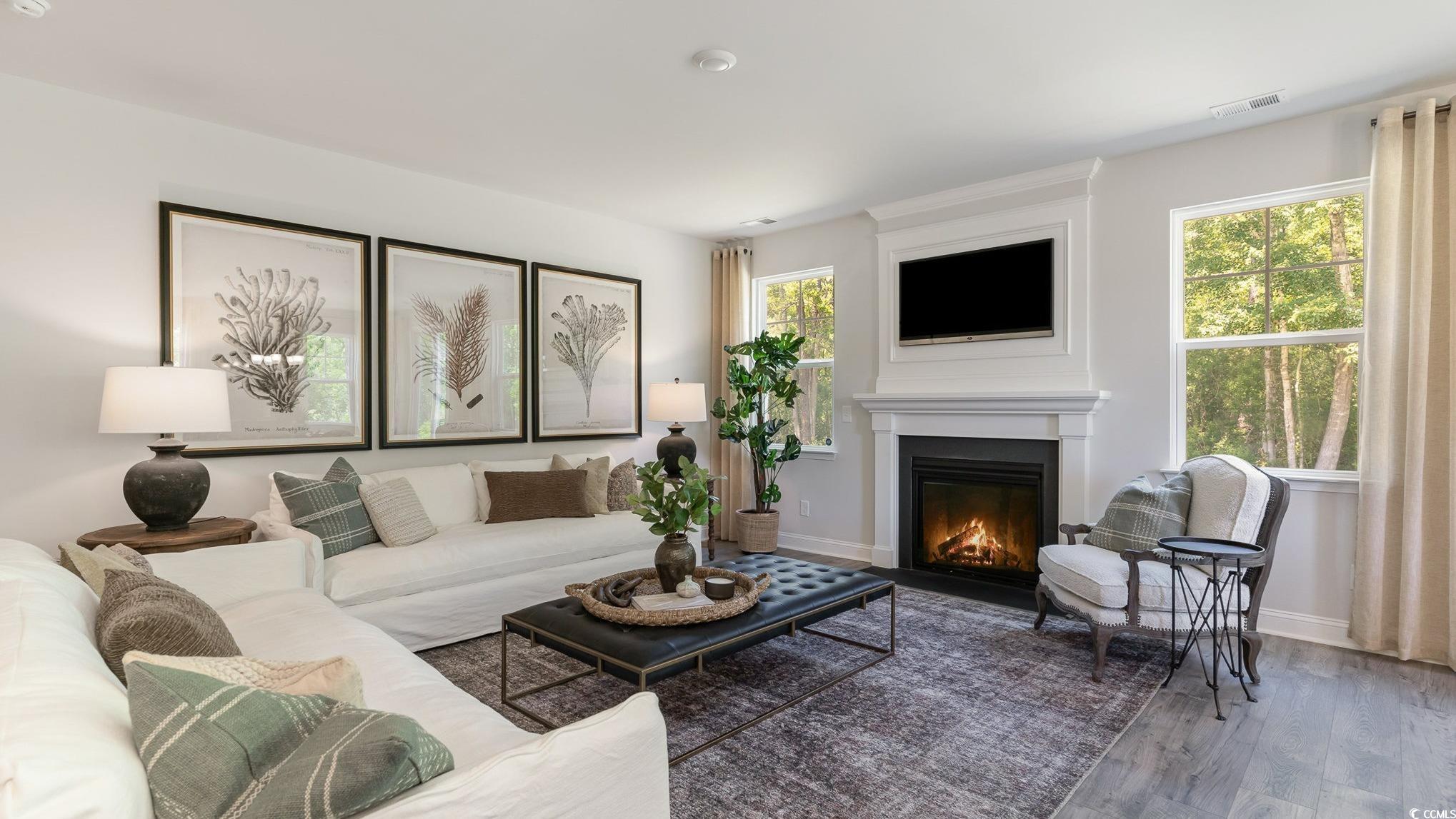 120 Fair Meadow Loris, SC 29569 - Photo 11 of 28