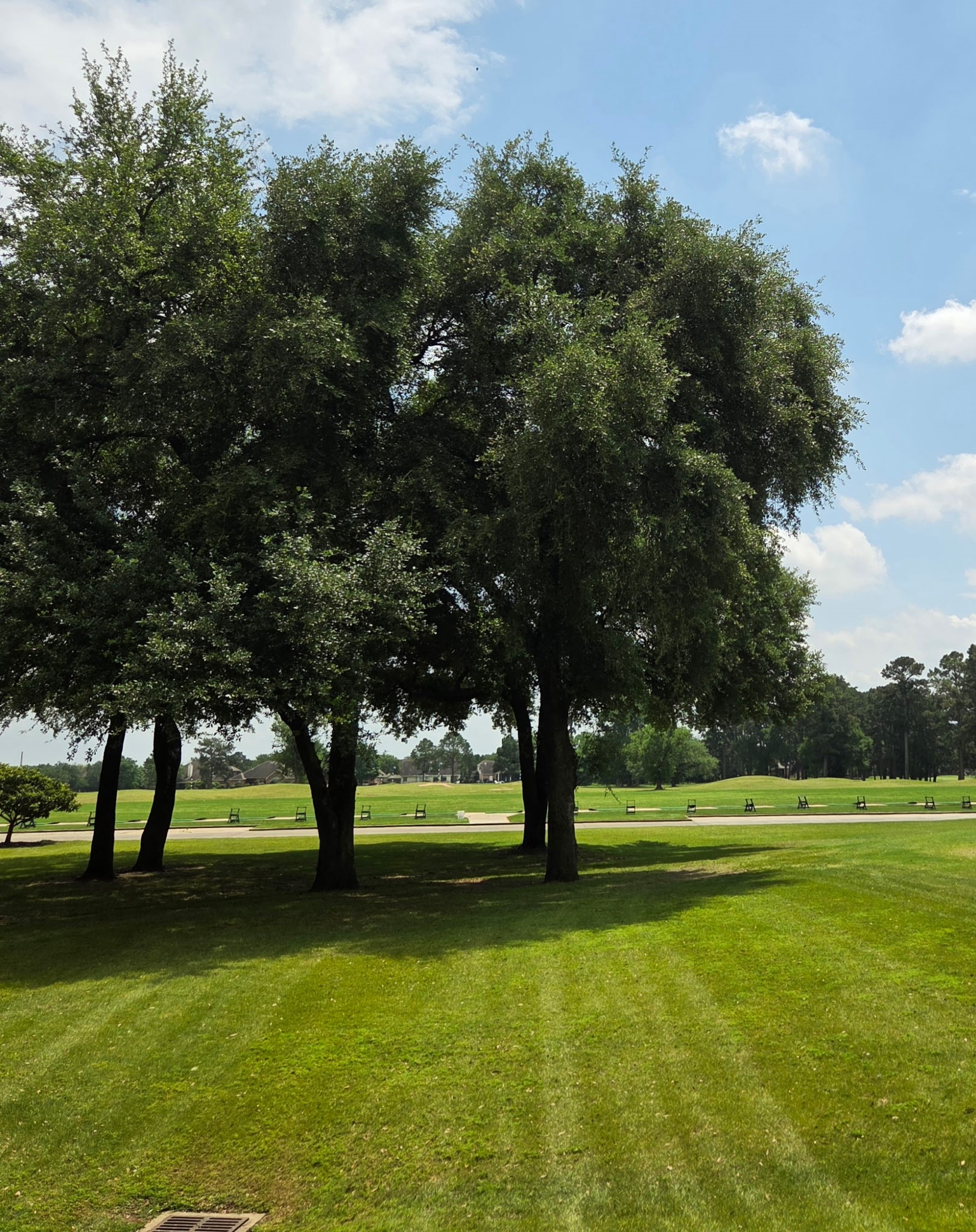 20410 Misty Crossing Lane Spring, TX 77379 - Photo 46 of 50 Beautiful and lush golf course