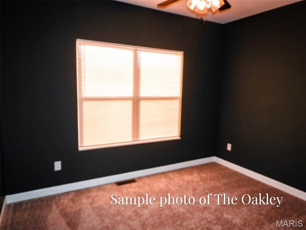 334 Jenny Court Waterloo, IL 62298 - Photo 12 of 13