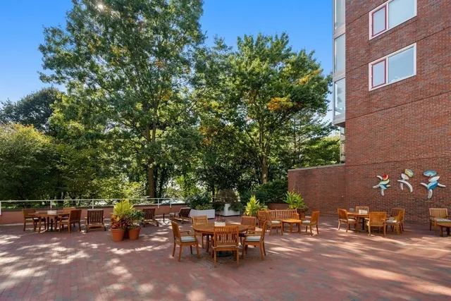 a view of a park with large trees