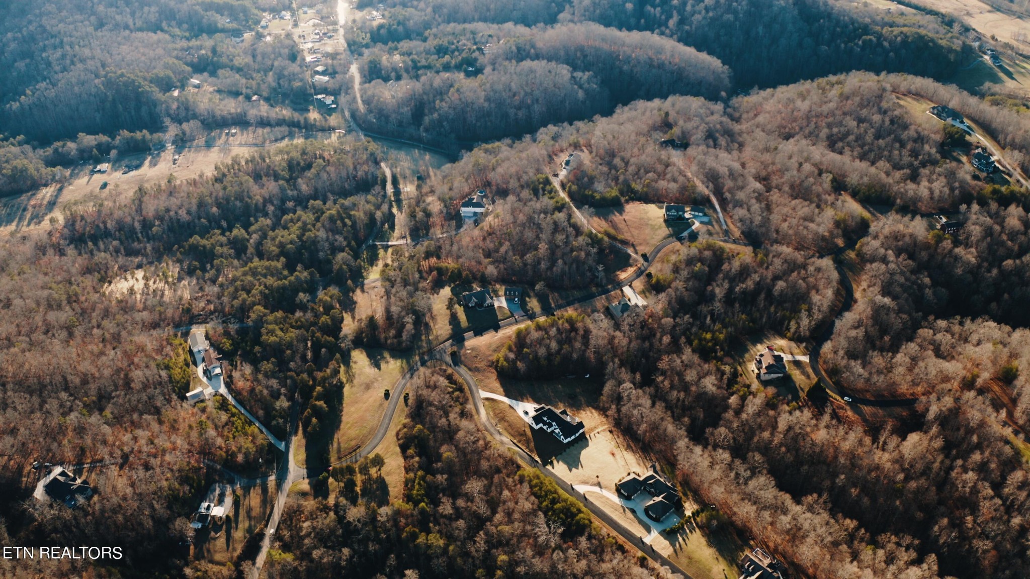 9245 Arlington Ridge Way Powell, TN 37849 - Photo 34 of 36 a view of a yard