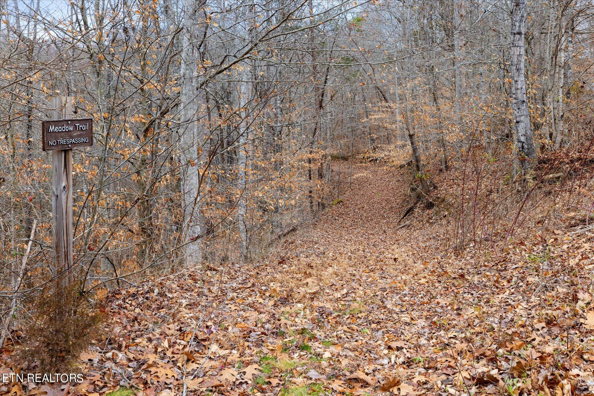 9245 Arlington Ridge Way Powell, TN 37849 - Photo 35 of 36 a view of a pathway of a city