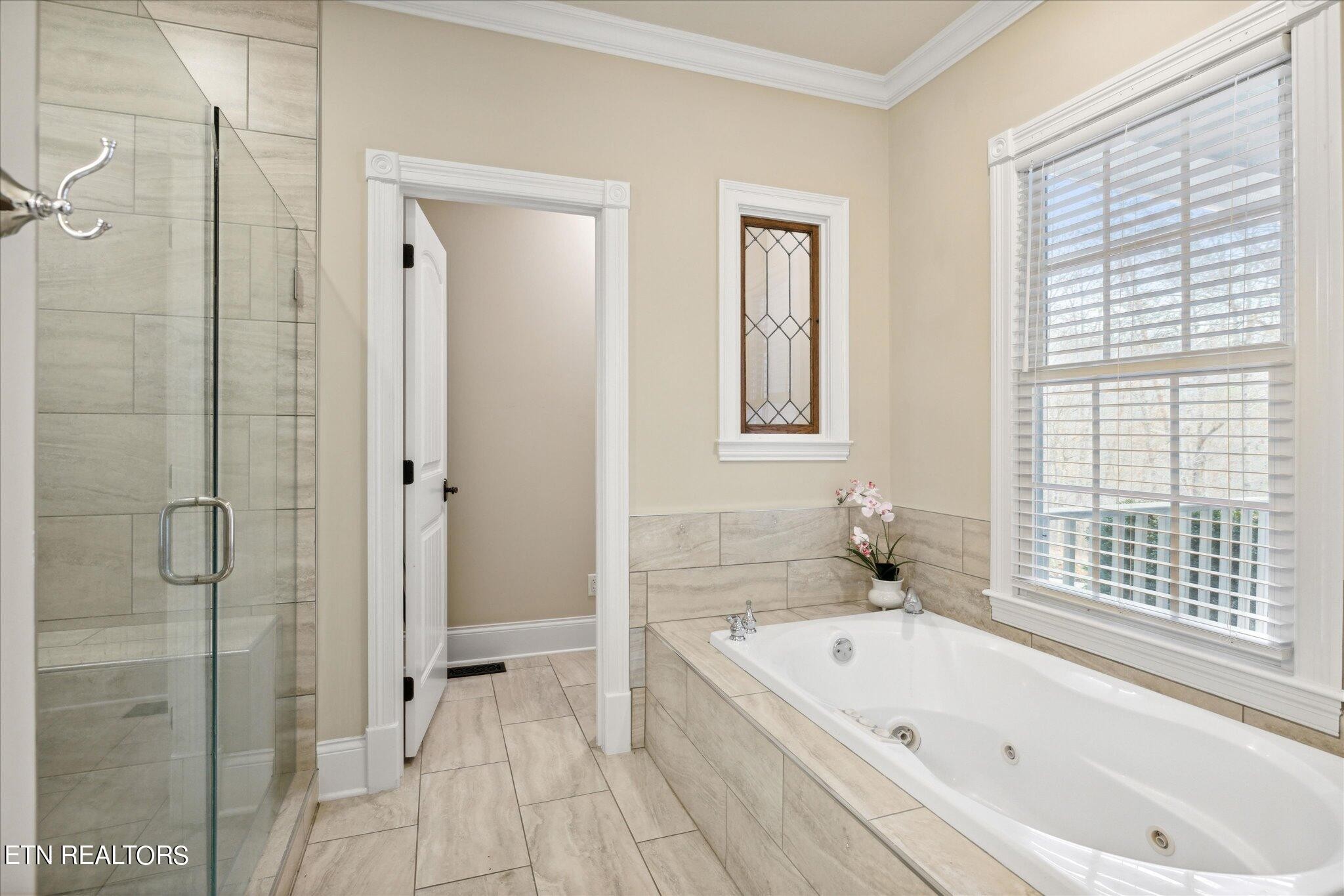 9245 Arlington Ridge Way Powell, TN 37849 - Photo 9 of 36 a bathroom with a bathtub and a shower
