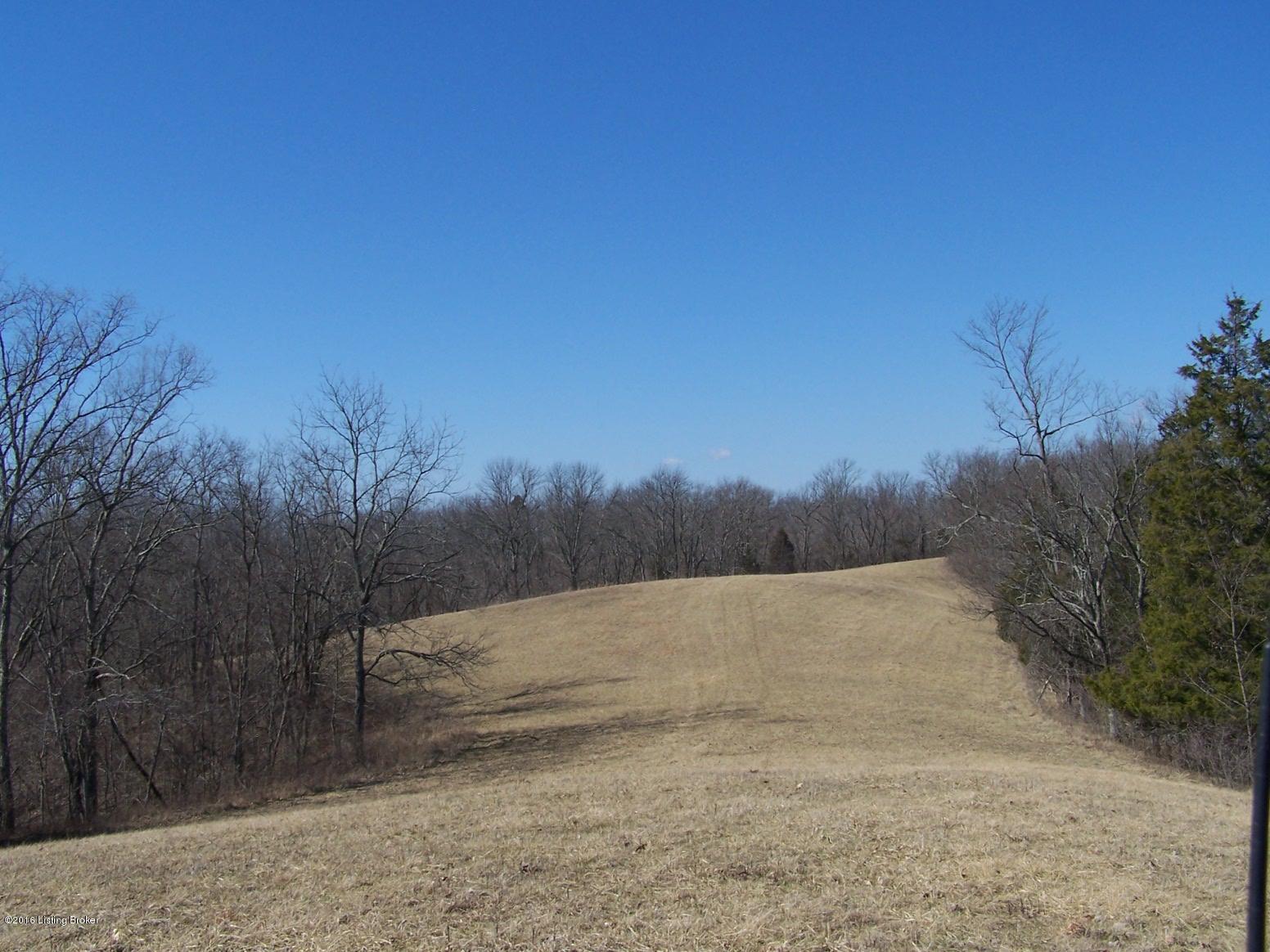 0 Dripping Springs Road Carrollton, KY 41008 - Photo 20 of 41 February 2016 077