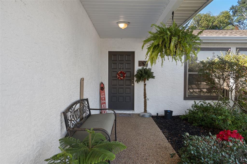 7311 Edinburgh Way Weeki Wachee, FL 34613 - Photo 4 of 27 a couple of potted plants in front of door