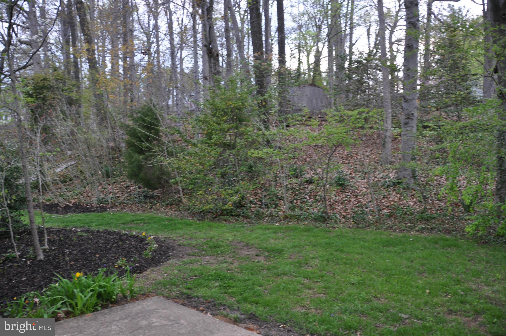 8602 Thames Street Springfield, VA 22151 - Photo 21 of 21 Backyard