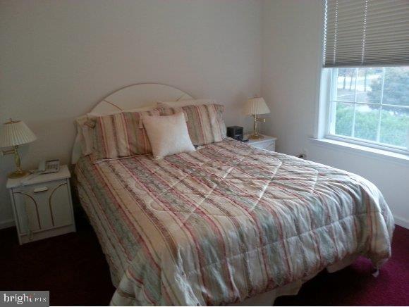 100 Commodore Road Manahawkin, NJ 08050 - Photo 24 of 30 Gallery Image 24