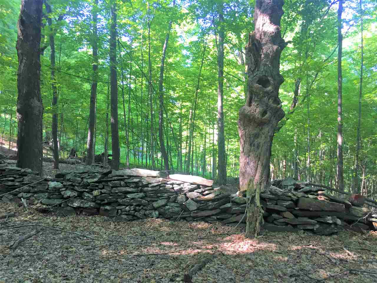 1 Silver Hill Road West Windsor, VT 05089 - Photo 8 of 13 Gallery Image 8