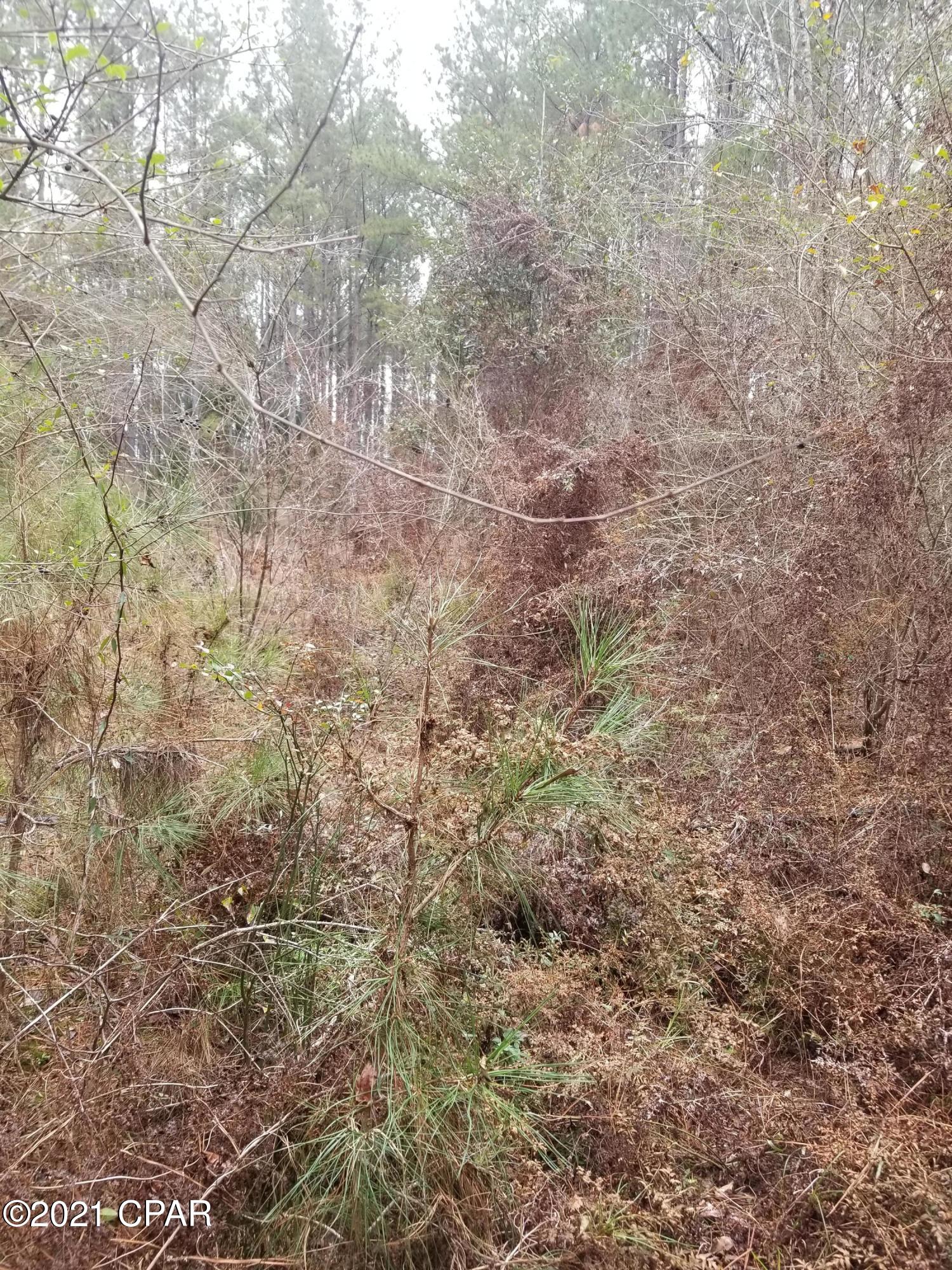 2981 Beall Packing Road Bonifay, FL 32425 - Photo 32 of 38 Gallery Image 32