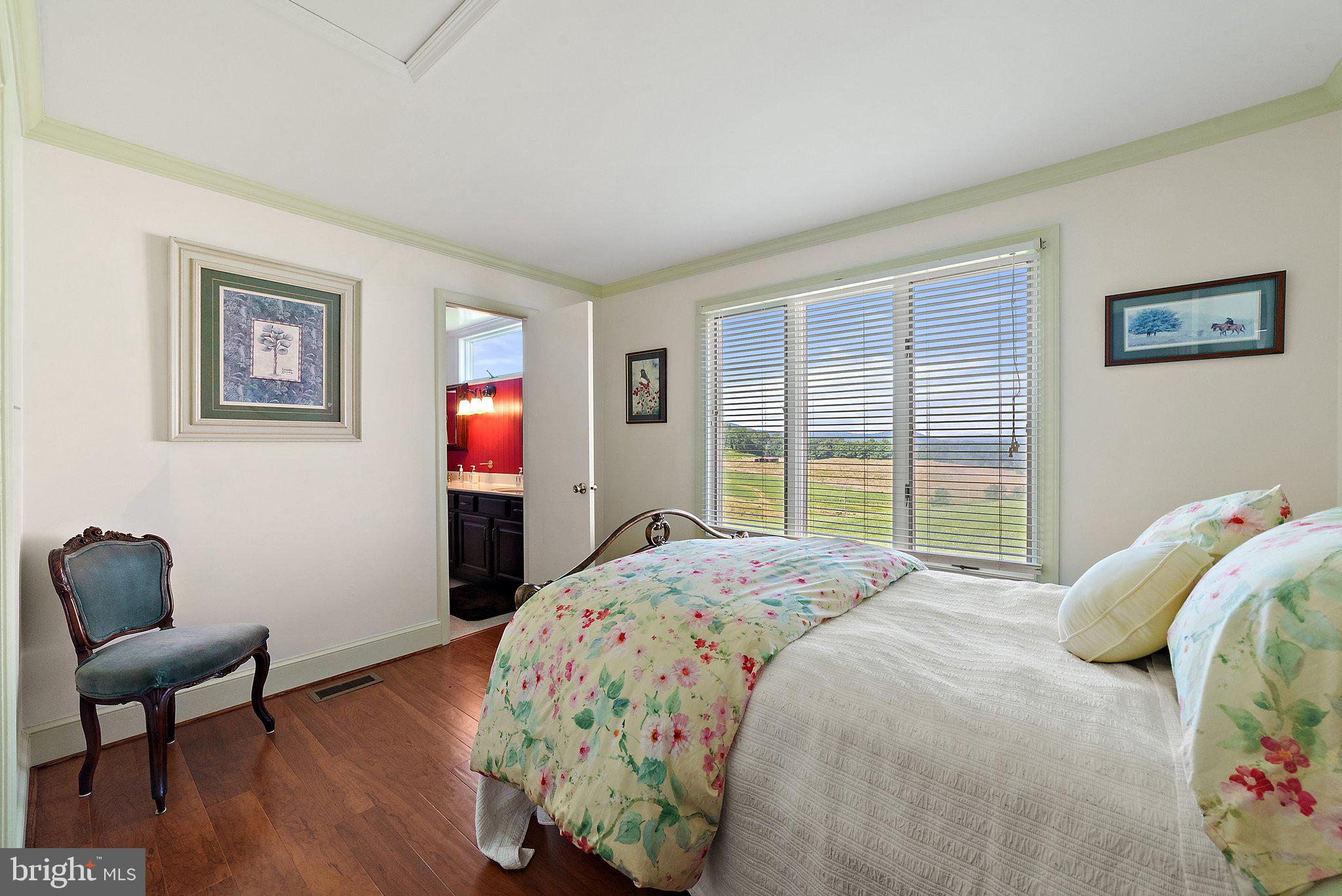4 Windsor Lodge Lane Huntly, VA 22627 - Photo 101 of 103
