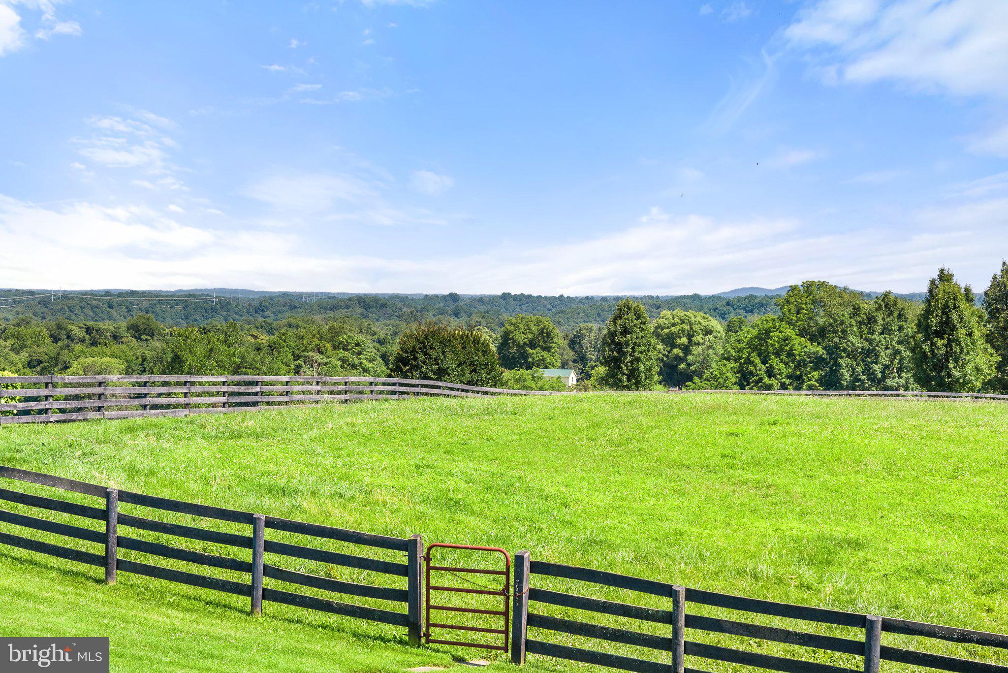 4 Windsor Lodge Lane Huntly, VA 22627 - Photo 102 of 103