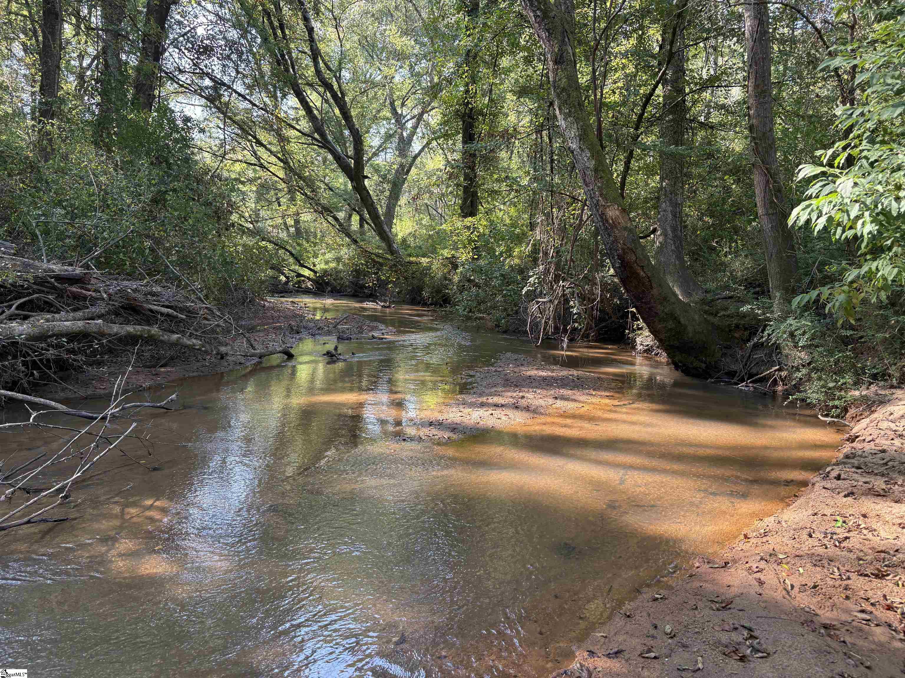 2 Joe Oulla Road Ware Shoals, SC 29692 - Photo 3 of 7
