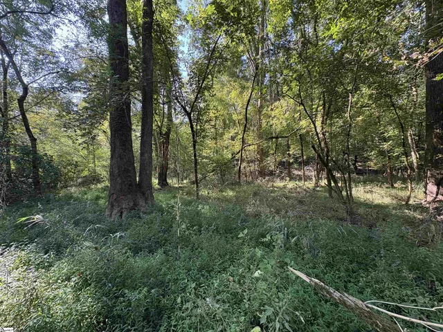 $90,000 | 2 Joe Oulla Road, Ware Shoals, SC 29692