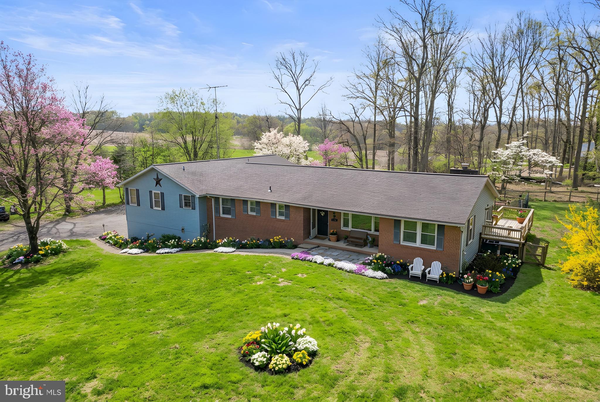 a view of house with a yard