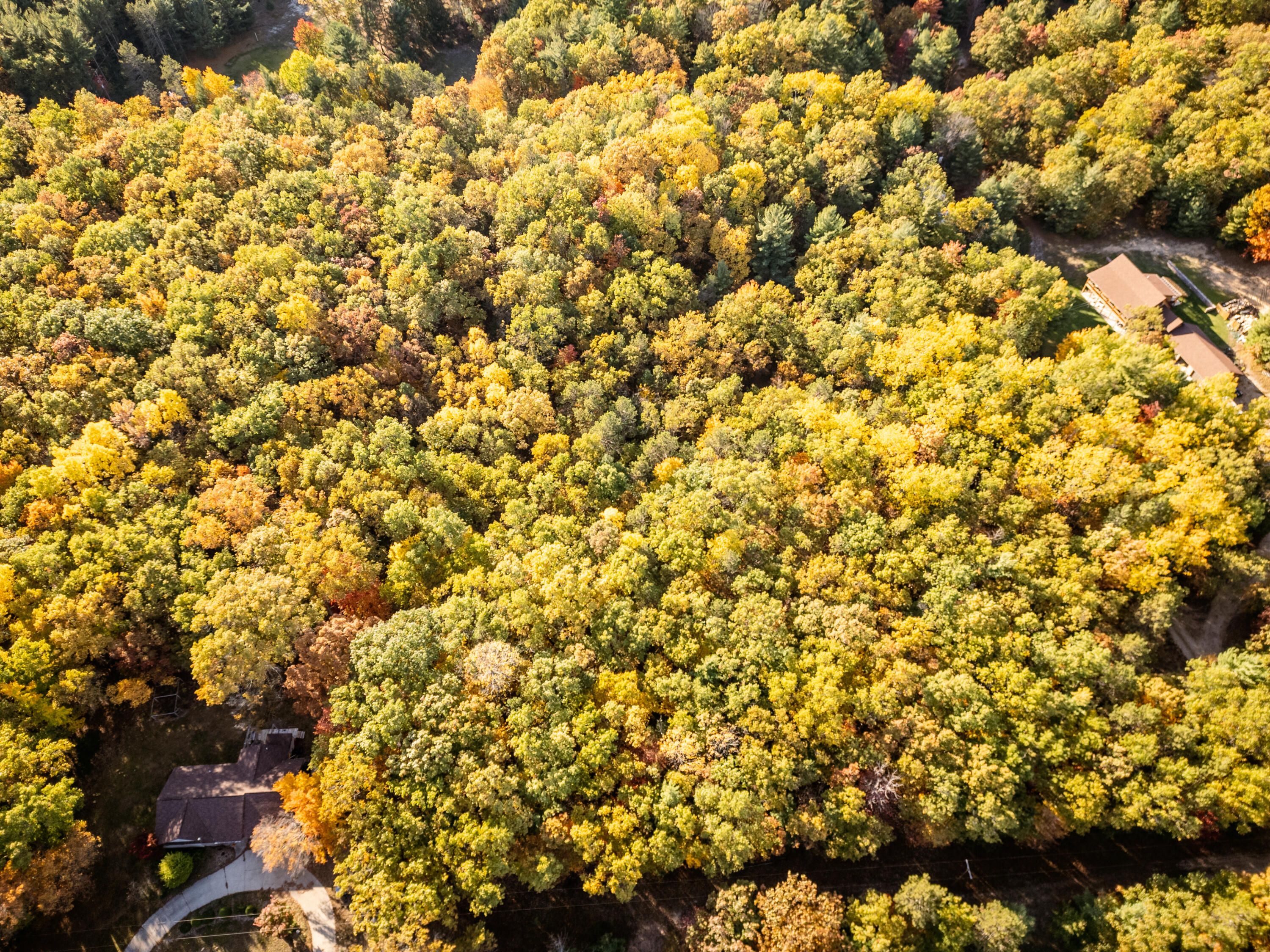 Maple Road Manistee, MI 49660 - Photo 1 of 5 DJI_0118